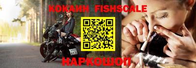 индика Кулебаки