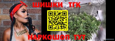 индика Кулебаки
