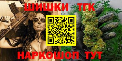 индика Кулебаки