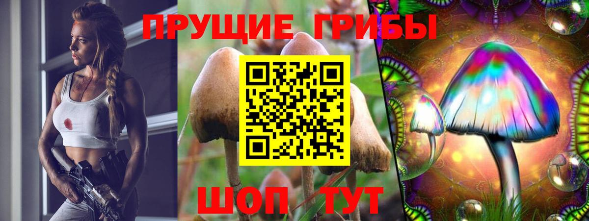 Галлюциногенные грибы Magic Shrooms Гулькевичи